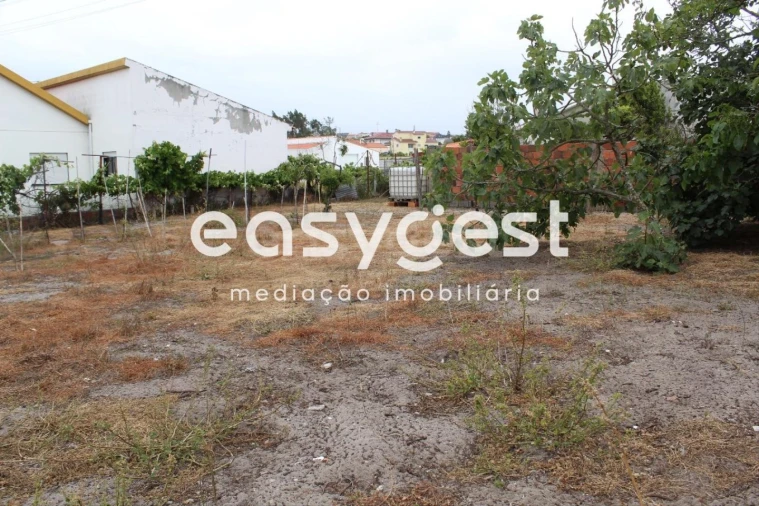 Terreno Agricola ou Rústico para Venda em Vieira de Leiria Foto 4