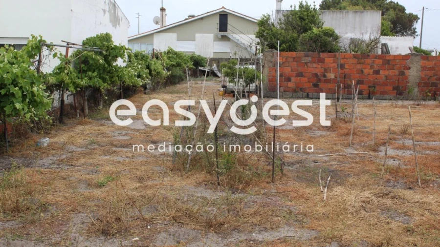 Terreno Agricola ou Rústico para Venda em Vieira de Leiria
