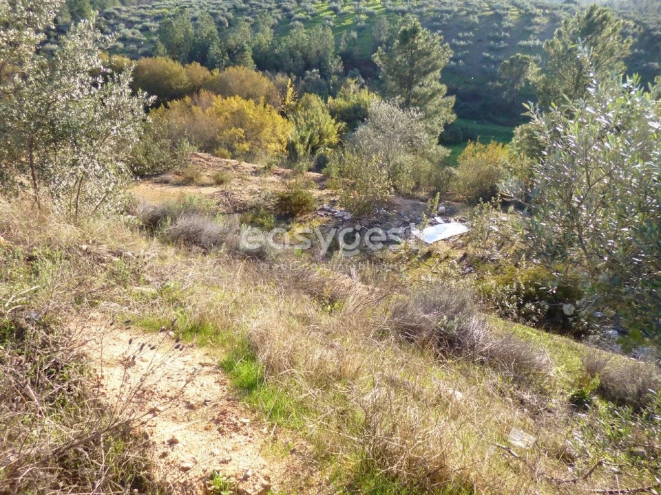 Terreno Agricola ou Rústico para Venda em Malpica do Tejo Foto 7