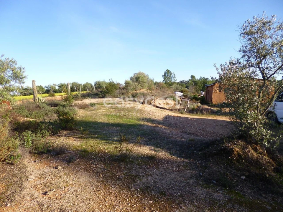 Terreno Agricola ou Rústico para Venda em Malpica do Tejo Foto 12