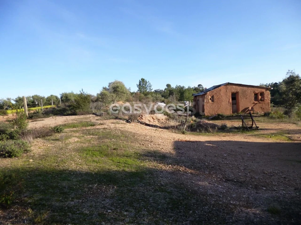 Terreno Agricola ou Rústico para Venda em Malpica do Tejo Foto 13