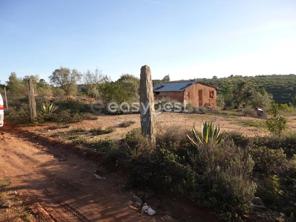 Terreno Agricola ou Rústico para Venda em Malpica do Tejo Foto 14