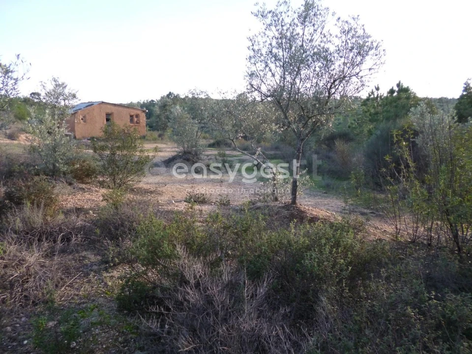 Terreno Agricola ou Rústico para Venda em Malpica do Tejo Foto 17