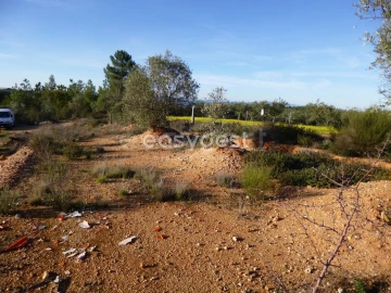 Terreno Agricola ou Rústico para Venda em Malpica do Tejo