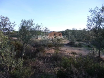 Terreno Agricola ou Rústico para Venda em Malpica do Tejo