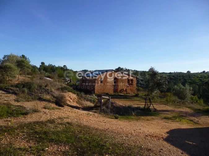 Terreno Agricola ou Rústico para Venda em Malpica do Tejo Foto 2