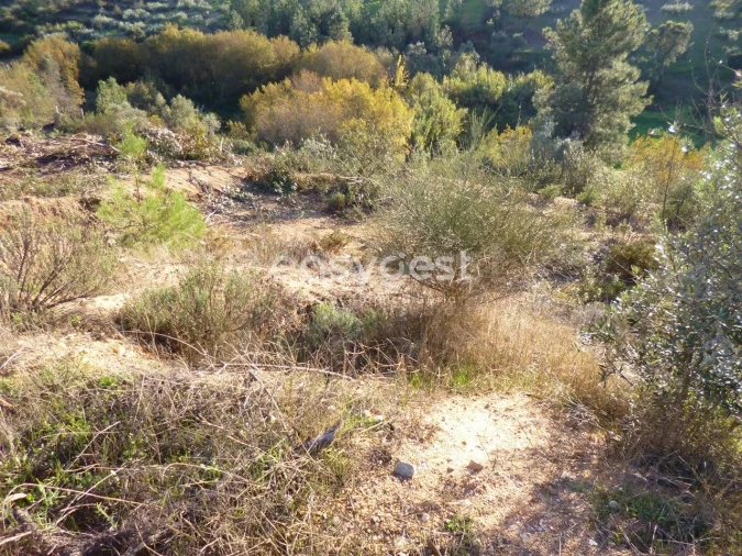 Terreno Agricola ou Rústico para Venda em Malpica do Tejo Foto 8