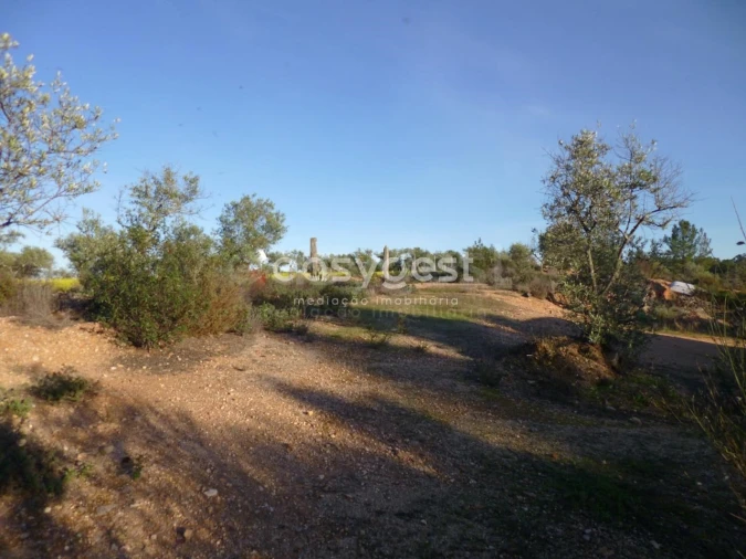 Terreno Agricola ou Rústico para Venda em Malpica do Tejo Foto 11