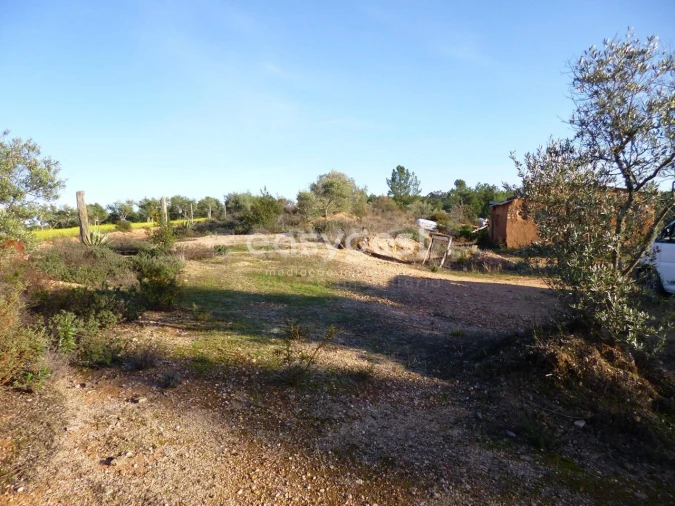 Terreno Agricola ou Rústico para Venda em Malpica do Tejo Foto 12