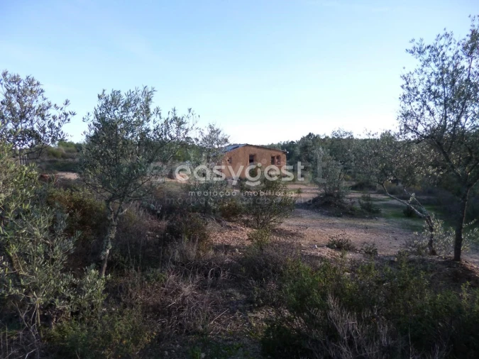 Terreno Agricola ou Rústico para Venda em Malpica do Tejo Foto 15