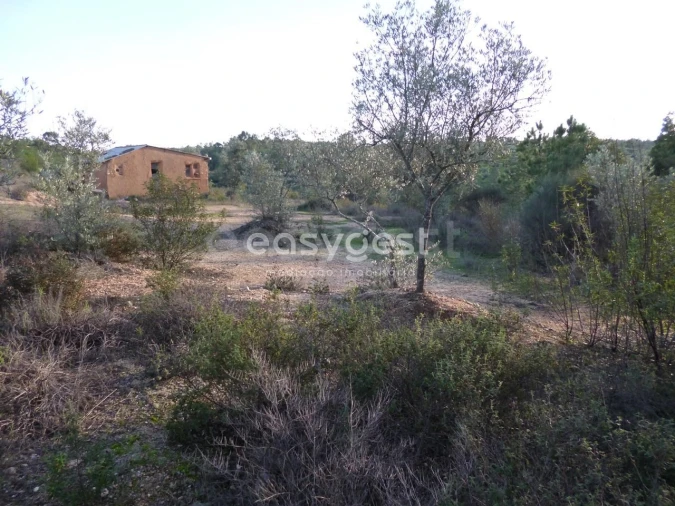Terreno Agricola ou Rústico para Venda em Malpica do Tejo Foto 17