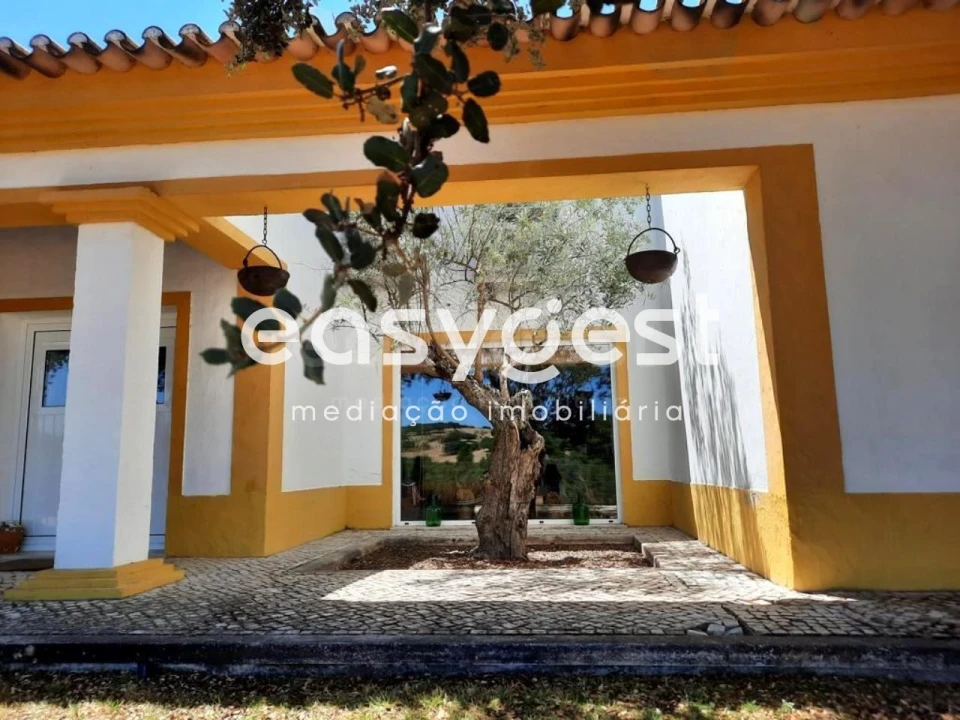 Quinta T5 para Venda em Cuba Foto 13