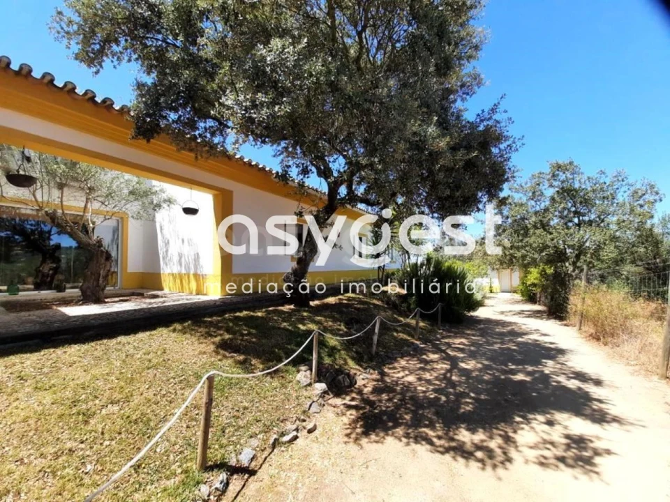 Quinta T5 para Venda em Cuba Foto 15