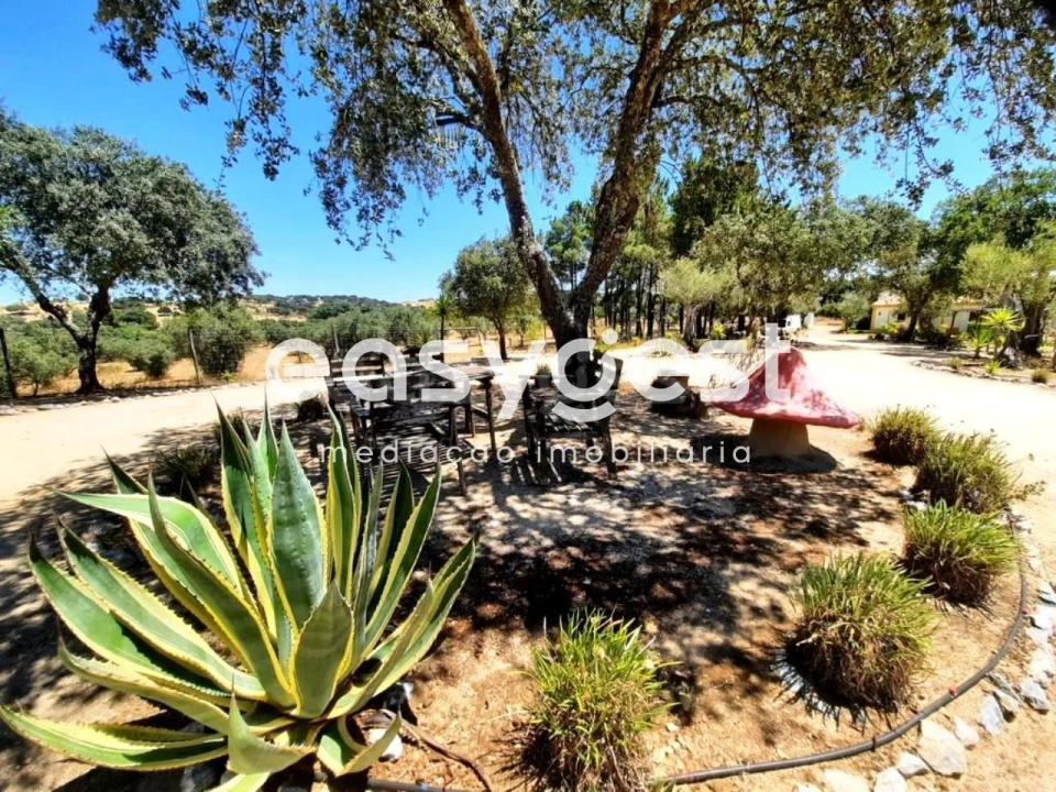 Quinta T5 para Venda em Cuba Foto 18