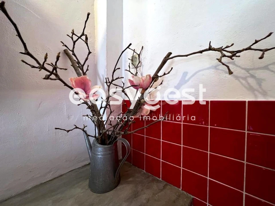 Quinta T5 para Venda em Cuba Foto 43