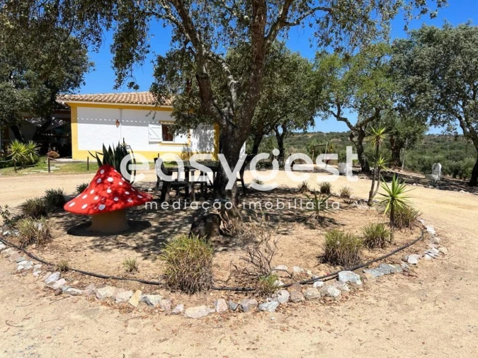 Quinta T5 para Venda em Cuba Foto 5