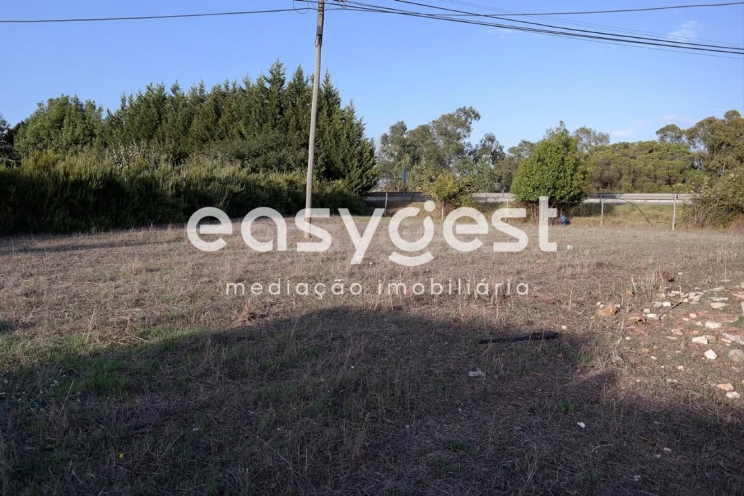 Terreno Agricola ou Rústico para Venda em Marrazes e Barosa Foto 5