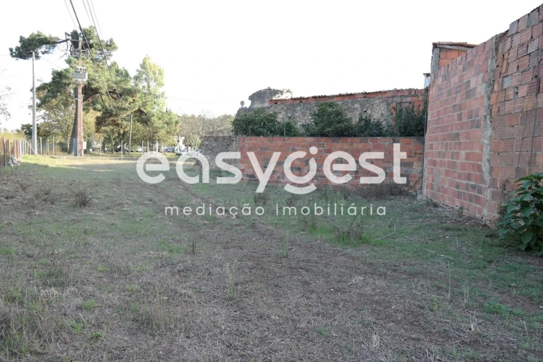 Terreno Agricola ou Rústico para Venda em Marrazes e Barosa Foto 9