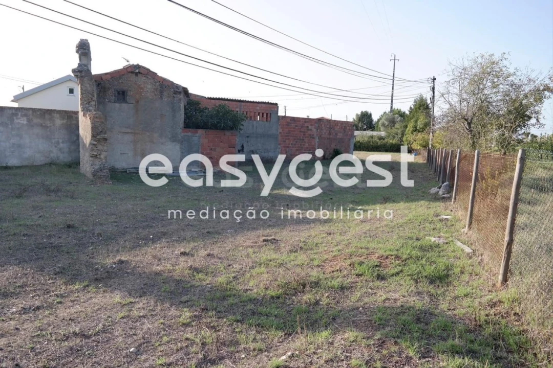 Terreno Agricola ou Rústico para Venda em Marrazes e Barosa Foto 14