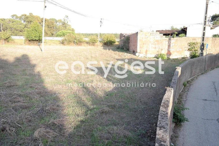Terreno Agricola ou Rústico para Venda em Marrazes e Barosa Foto 3
