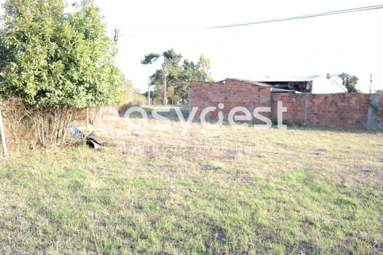 Terreno Agricola ou Rústico para Venda em Marrazes e Barosa Foto 7