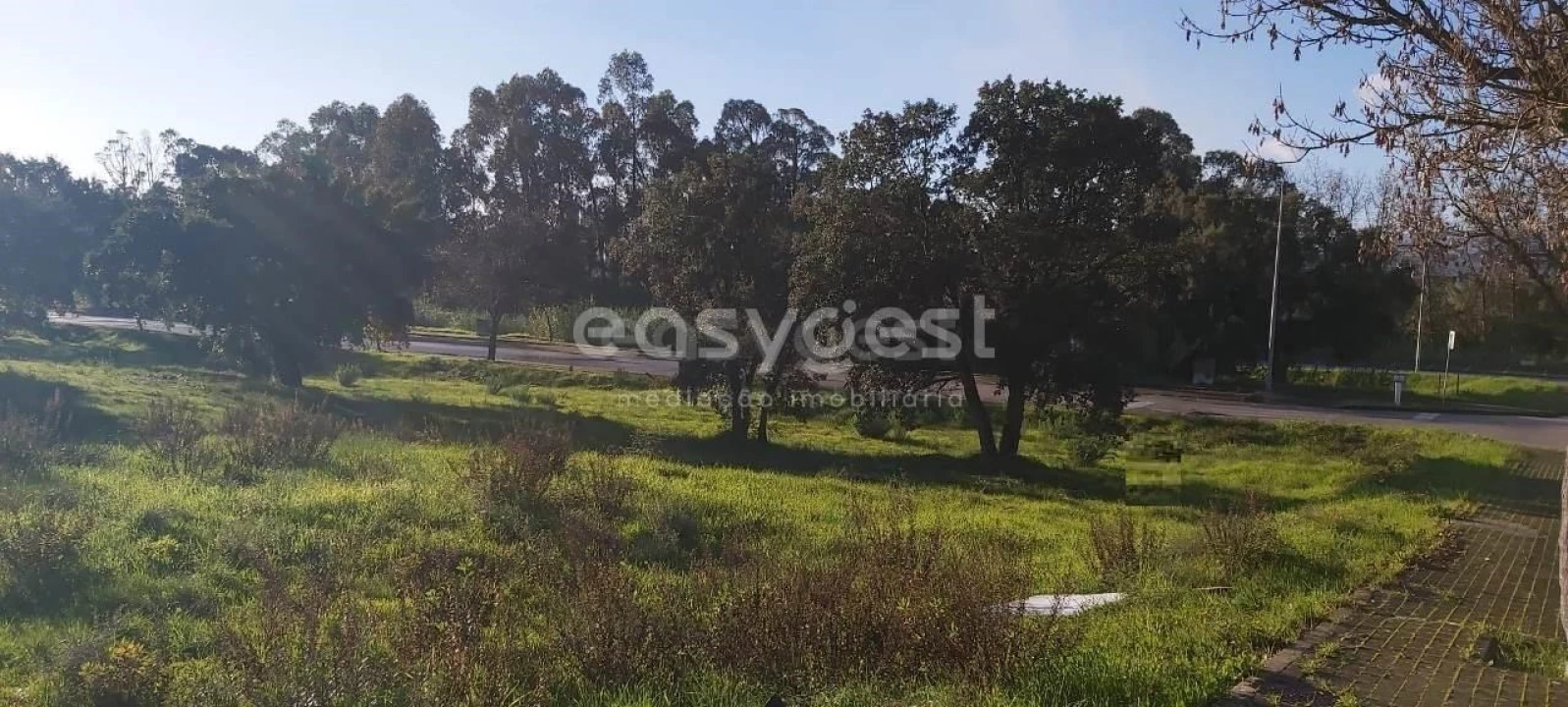 Terreno para Venda em Nossa Sra de Fatima Foto 4