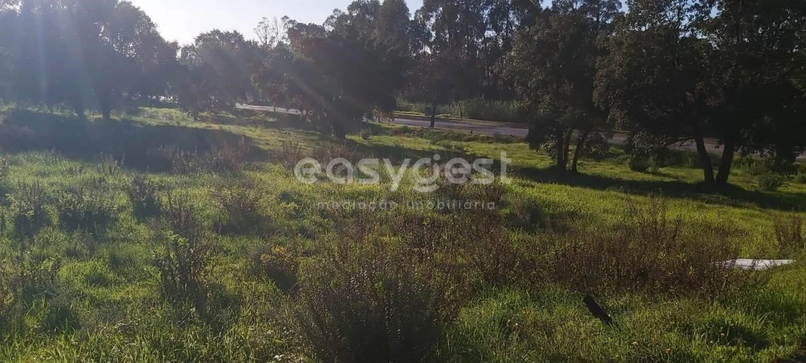 Terreno para Venda em Nossa Sra de Fatima Foto 8