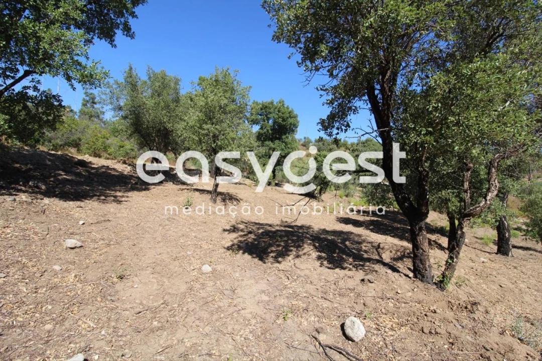 Terreno Misto para Venda em Monchique Foto 16