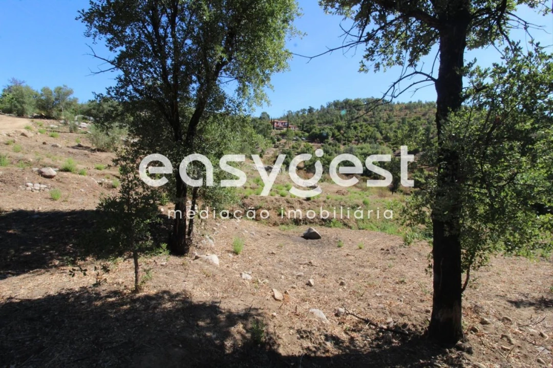 Terreno Misto para Venda em Monchique Foto 18