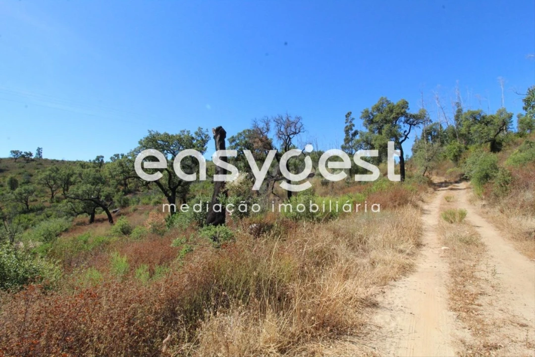 Terreno Misto para Venda em Monchique Foto 19