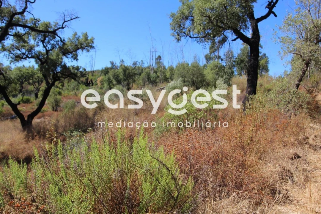 Terreno Misto para Venda em Monchique Foto 20