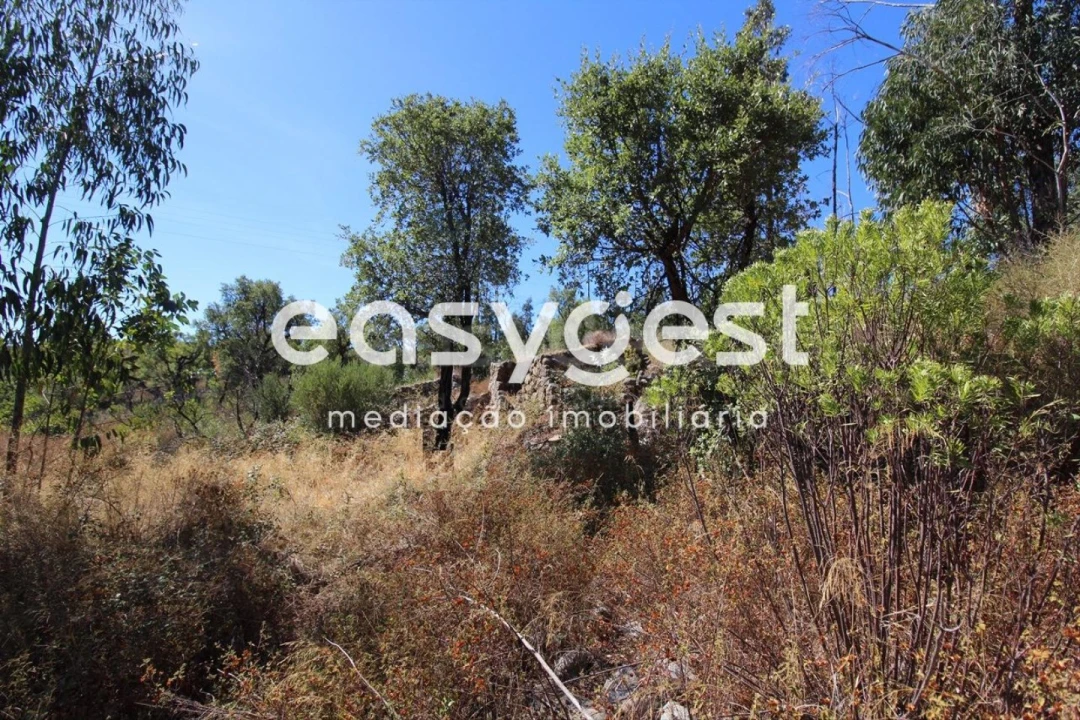 Terreno Misto para Venda em Monchique Foto 21