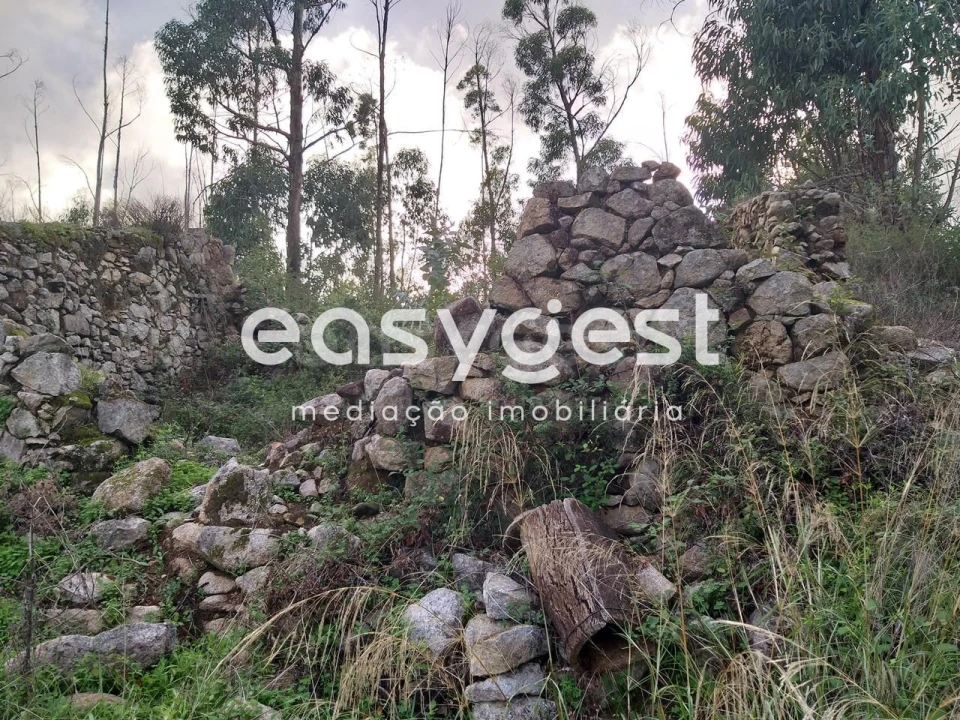 Terreno Misto para Venda em Monchique Foto 3