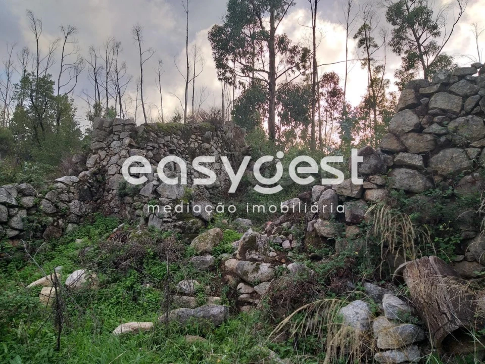 Terreno Misto para Venda em Monchique Foto 4