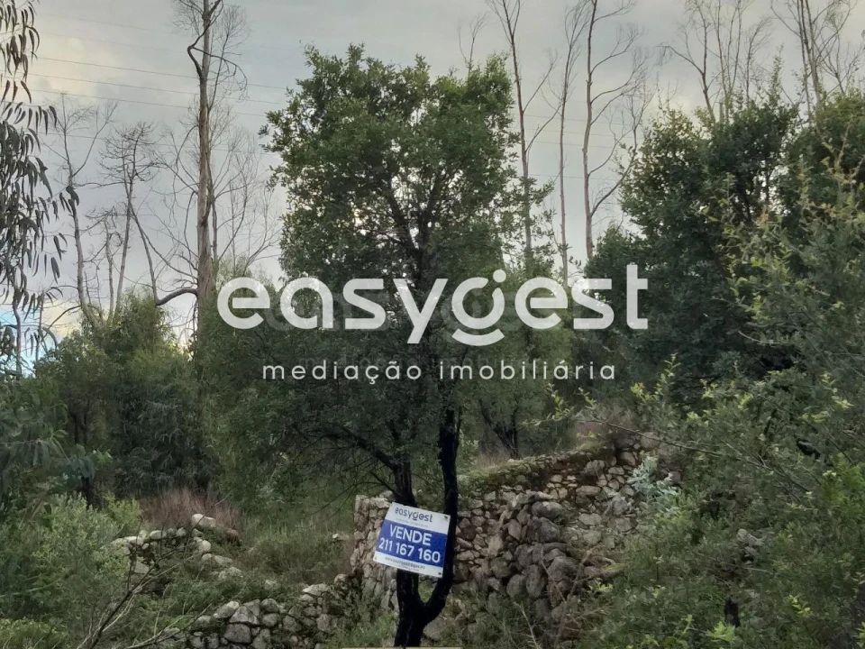 Terreno Misto para Venda em Monchique Foto 9