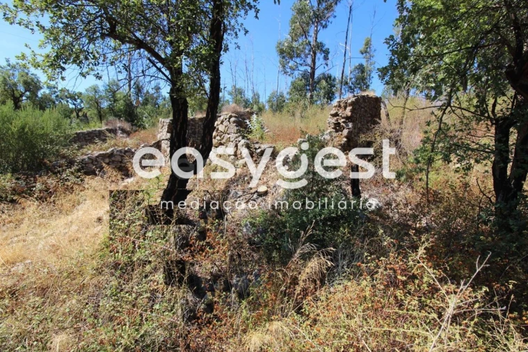 Terreno Misto para Venda em Monchique Foto 10