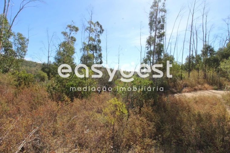 Terreno Misto para Venda em Monchique Foto 11