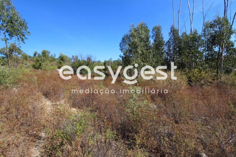 Terreno Misto para Venda em Monchique Foto 12