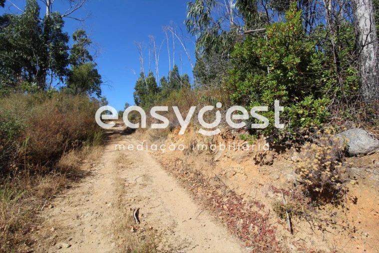 Terreno Misto para Venda em Monchique Foto 14