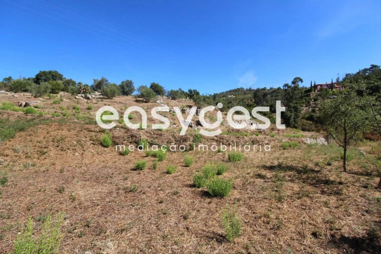 Terreno Misto para Venda em Monchique Foto 17