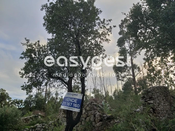 Terreno Misto para Venda em Monchique
