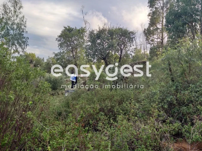 Terreno Misto para Venda em Monchique Foto 2