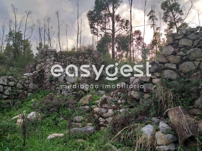 Terreno Misto para Venda em Monchique Foto 4