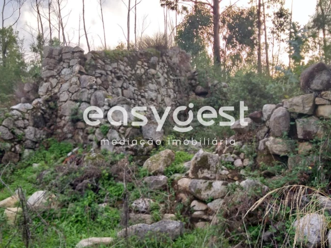 Terreno Misto para Venda em Monchique Foto 7