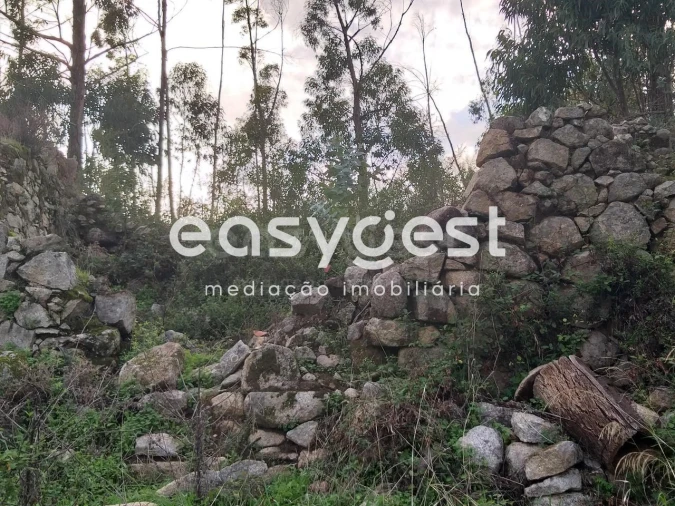 Terreno Misto para Venda em Monchique Foto 8