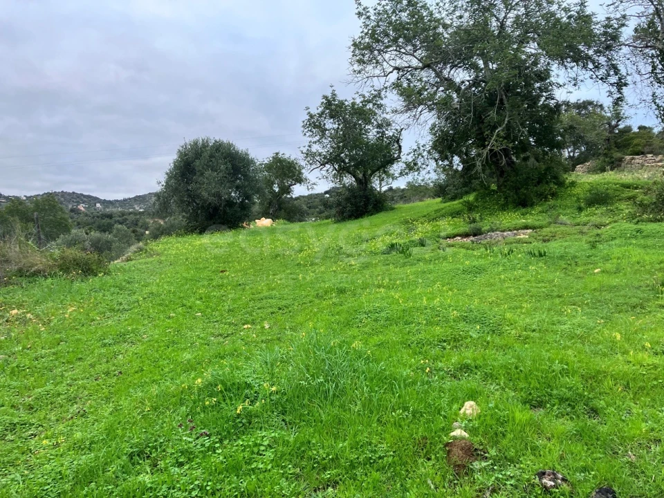 Terreno Agricola ou Rústico para Venda em Santa Barbara de Nexe Foto 1