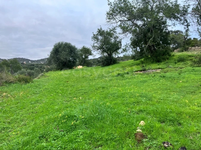 Terreno Agricola ou Rústico para Venda em Santa Barbara de Nexe Foto 1