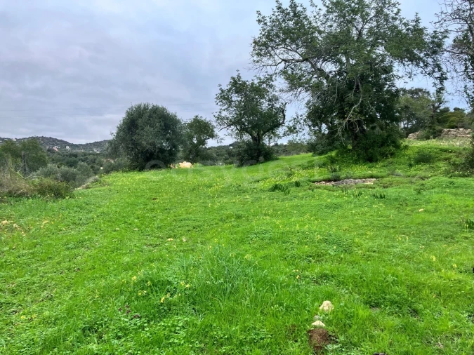 Terreno Agricola ou Rústico para Venda em Santa Barbara de Nexe Foto 2