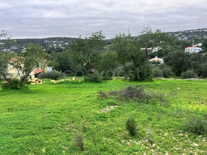 Terreno Agricola ou Rústico para Venda em Santa Barbara de Nexe Foto 5