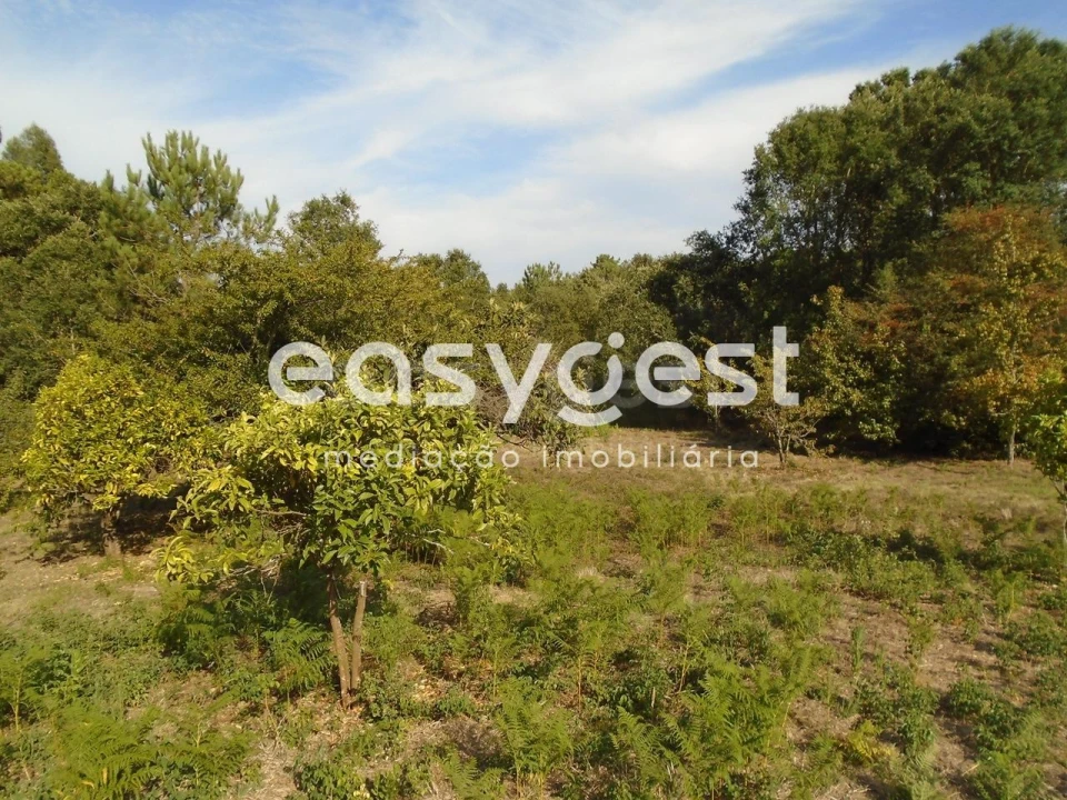 Terreno para Venda em Pataias e Martingança Foto 4